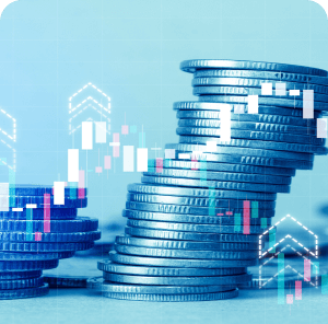 CCE/NCE (Export Credit Note)